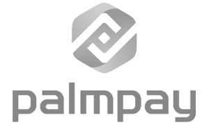 Palmpay icon